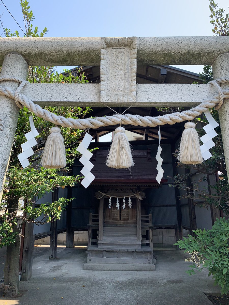 ハネウマライダー