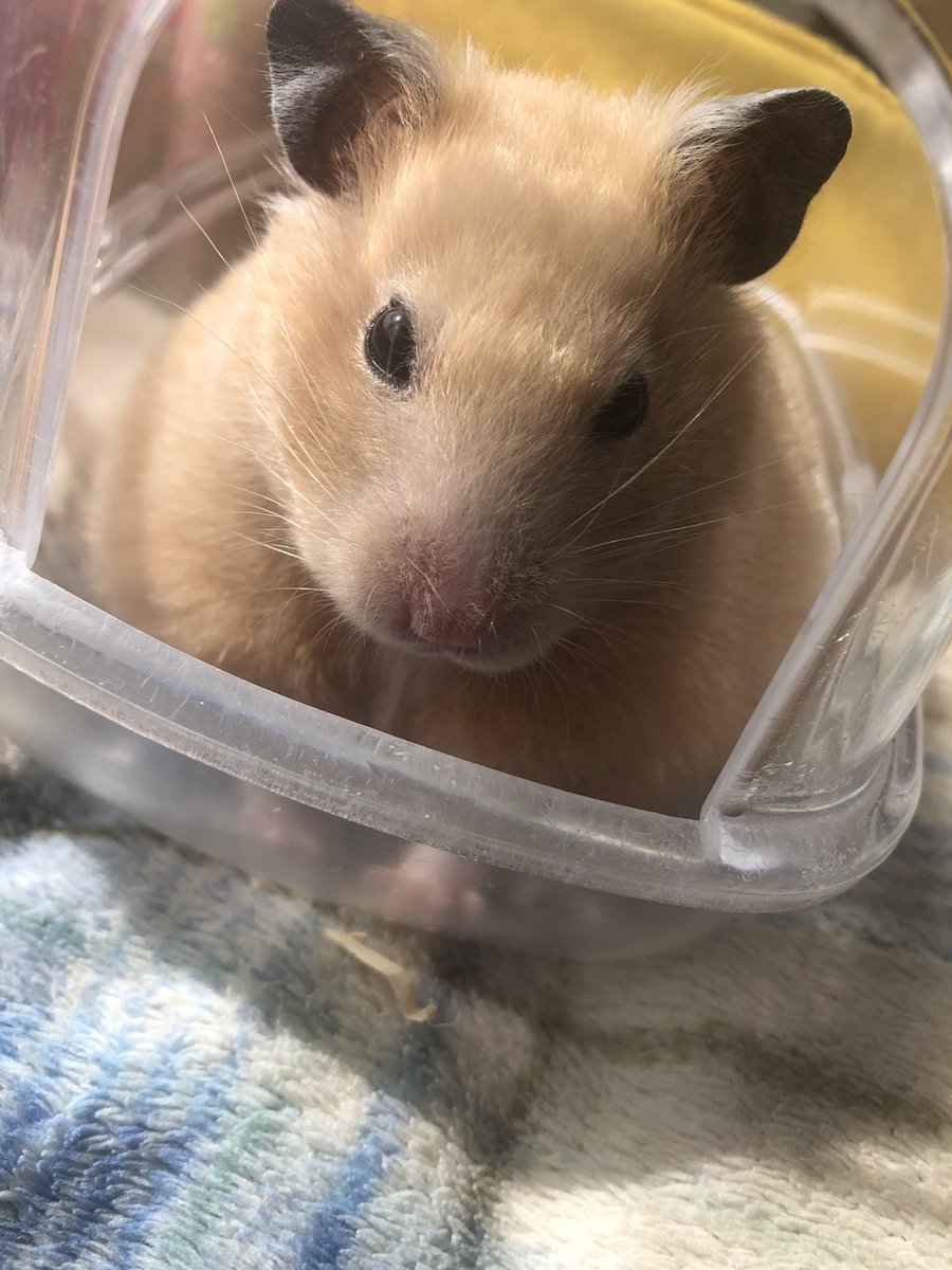 Ad Af 9e 8f A0 B9 Bf Top Trending News