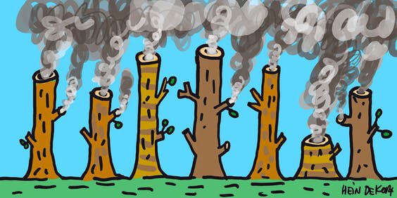 Christa26930016's tweet photo. Maak #BoycotVattenfall trendy.
Weg met Vattenfall de bomenverbrander🔥🌳van ons belastinggeld. Biomassa is een heel slechte energiebron. Verbranding van hout levert weinig energie op, waardoor netto meer CO2 uit de schoorsteen komt dan bij kolen en gas. #stopvattenfall https://t.co/8oiy7uRj1W