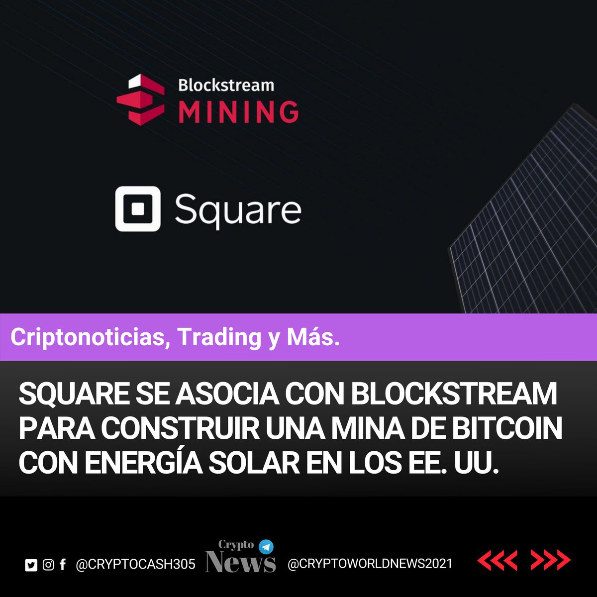 Cryptocash305's tweet photo. #bitcoin #cryptocurrency #blockchain #btc #Square
#Blockstream #squarecrypto

News Link: 🔗
👇🏼👇🏼👇🏼👇🏼👇🏼
https://t.co/WqF6qizwbi https://t.co/9JVVn4YQFk