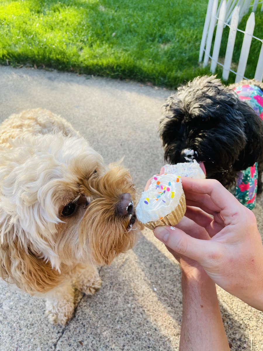 Obi-Wan Barker Long tweet media