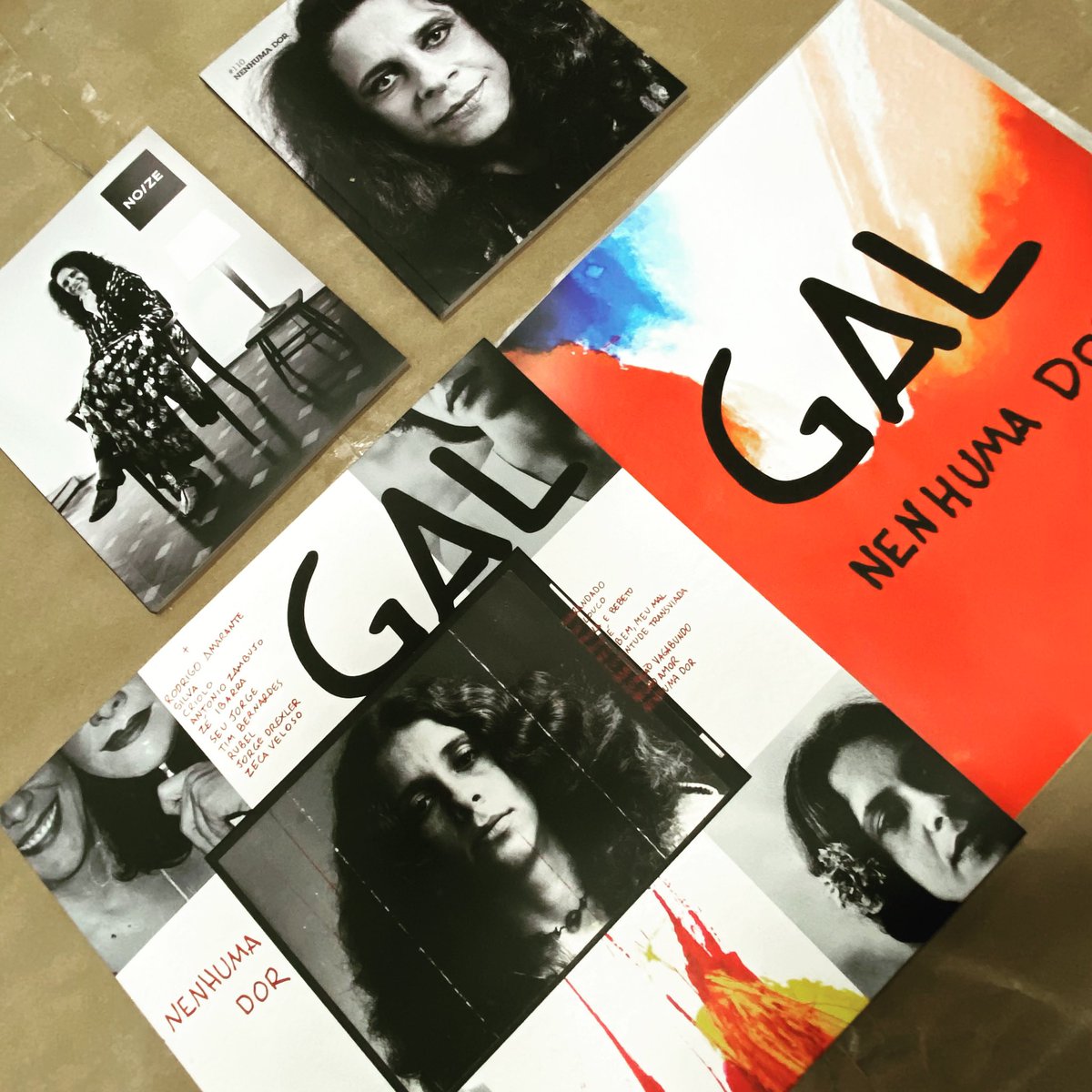 Hoje fui lá na gráfica da Noize conferir a produção do vinil da <a href="/GalCosta/">Gal Costa</a> e saí emocionado de ver um trabalho desses na rua, pra tantas pessoas poderem celebrar a vida da maior cantora brasileira, e por fazer parte disso! Obrigado <a href="/marcuspreto/">marcuspreto</a> e <a href="/rubel/">Rubel</a> por acreditarem no projeto!