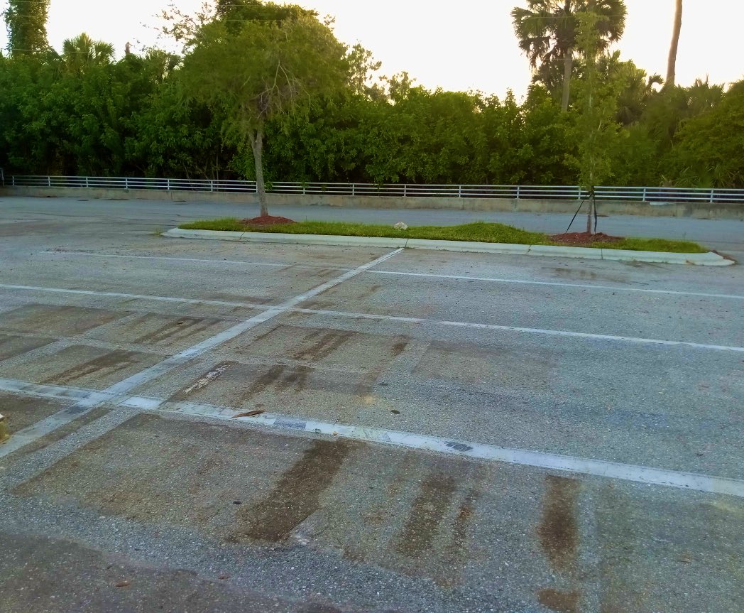 Cindy Sanchez tweet media