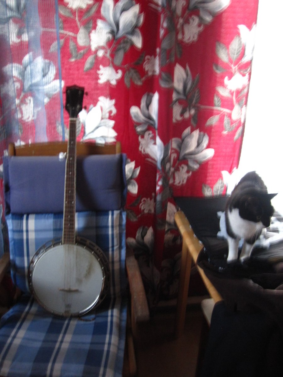 BoddickerThe's tweet photo. Cat waiting that i play some banjo, that's enough audience to start playing. ✌️ #cat #banjo #banjoandcat #audience #5stringbanjo #catwaiting #batmanssister https://t.co/VFp0BpbsNO