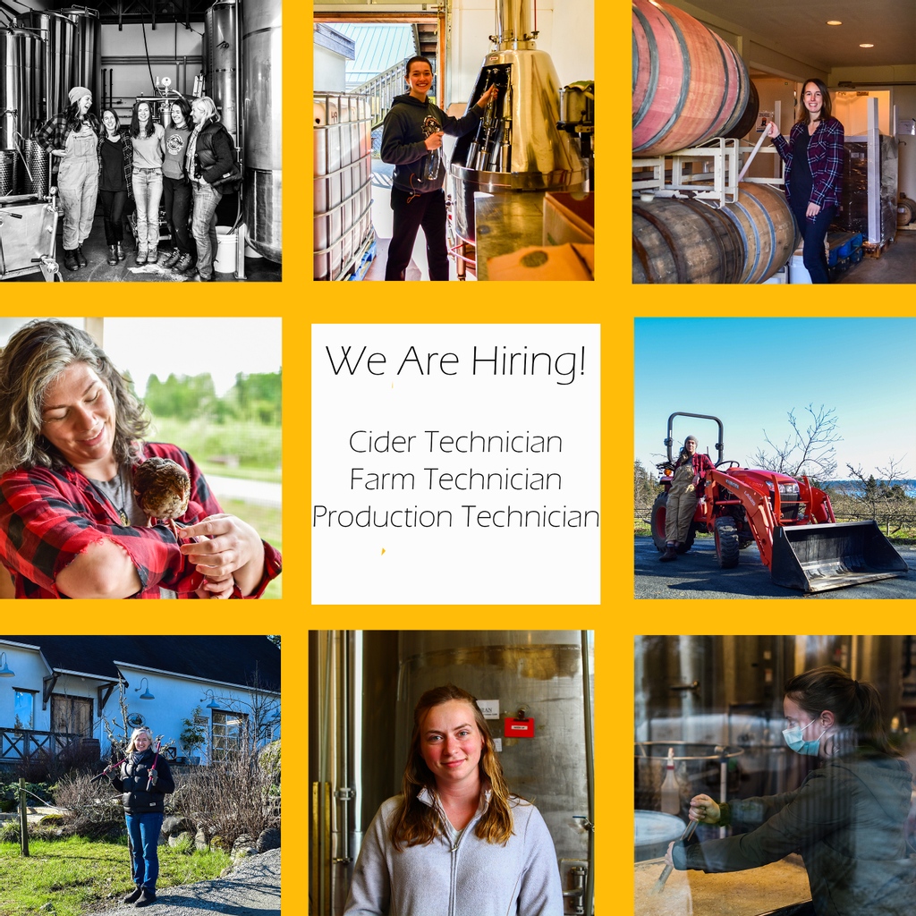 Sea Cider Farm & Ciderhouse (@seaciderhouse) on Twitter photo We are hiring Cider Technicians, Production Technicians and Farm Technicians. Do you like the idea of working for a farm-based cidery that crafts award-winning cider? Then we'd love to hear from you! - please email kristen@seacider.ca with a cover letter and resume. We are hiring Cider Technicians, Production Technicians and Farm Technicians. Do you like the idea of working for a farm-based cidery that crafts award-winning cider? Then we'd love to hear from you! - please email kristen@seacider.ca with a cover letter and resume.
