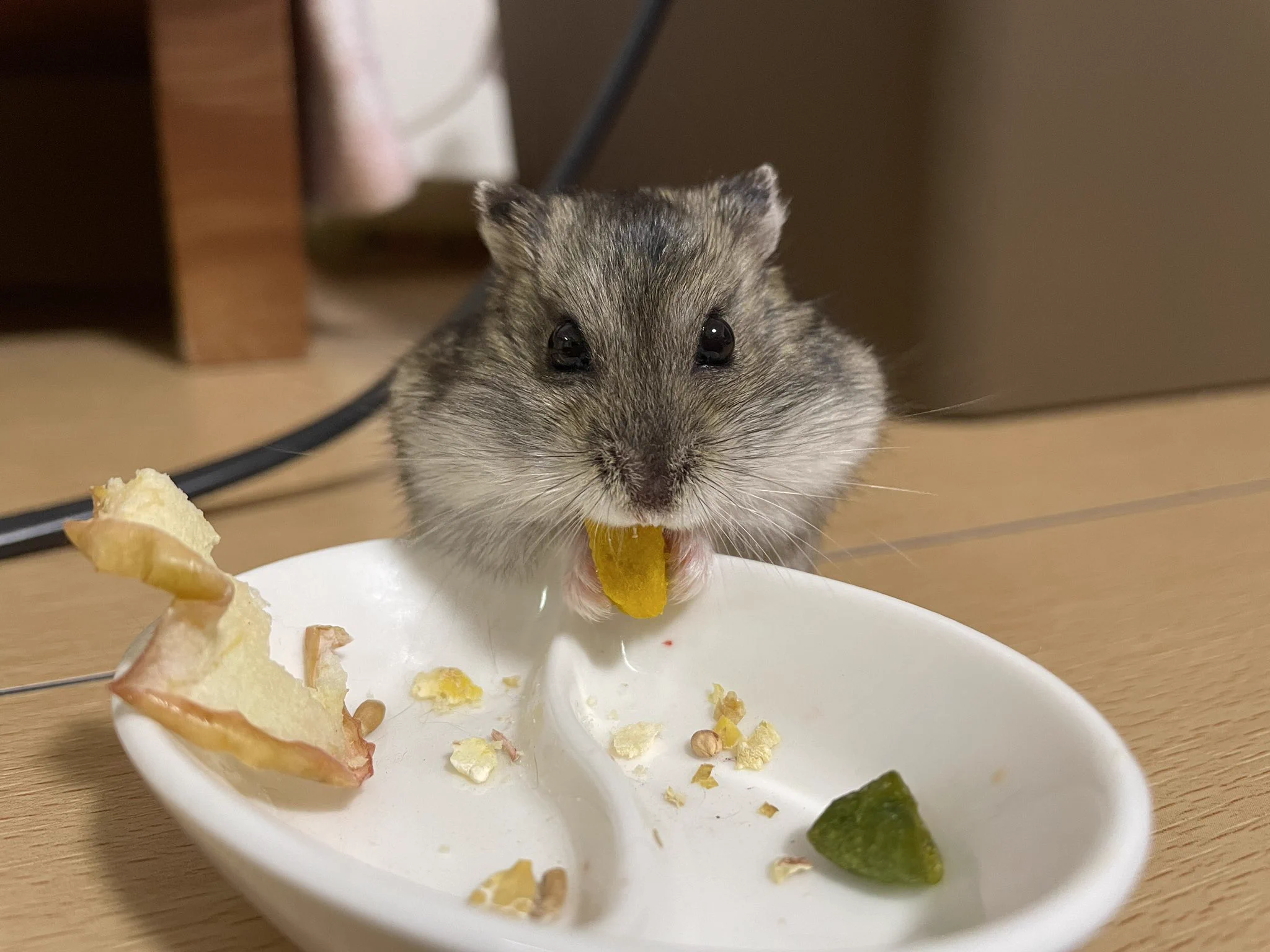 @nodacry おめはむはむ〜🐹 