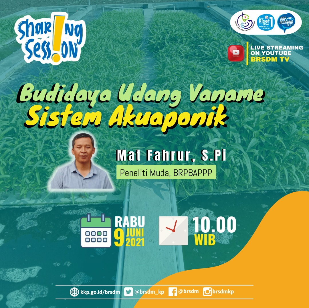 Selamat Pagi #SobatBahari
Saksikan Live Streaming Sharing Session BRSDM
Rabu, 9 Juni 2021, Pukul 10.00 WIBLink live streaming
youtube.com/c/BRSDMTV