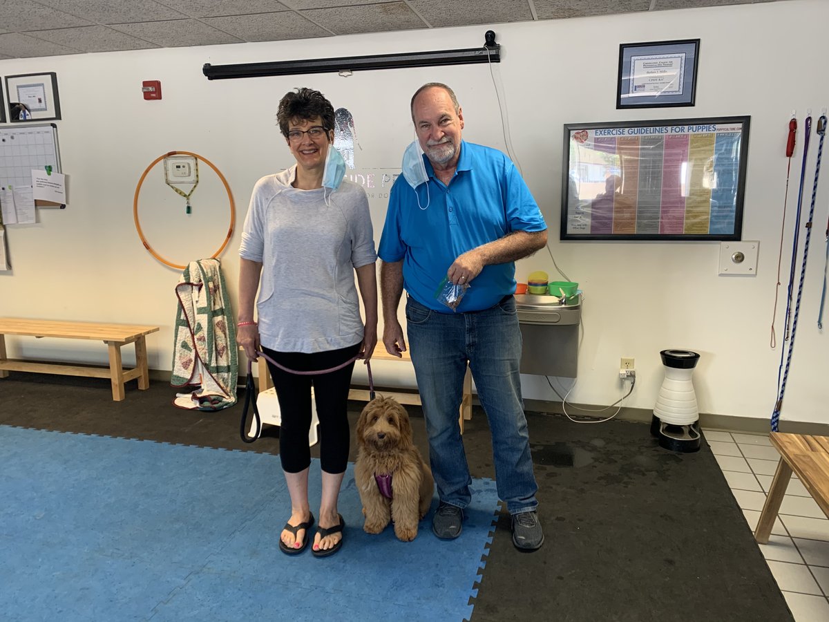 brooksidepet's tweet image. Australian Labradoodle Pearl has been a rockstar in Kindergarten. Looking forward to seeing her progress in Kindergarten 2.