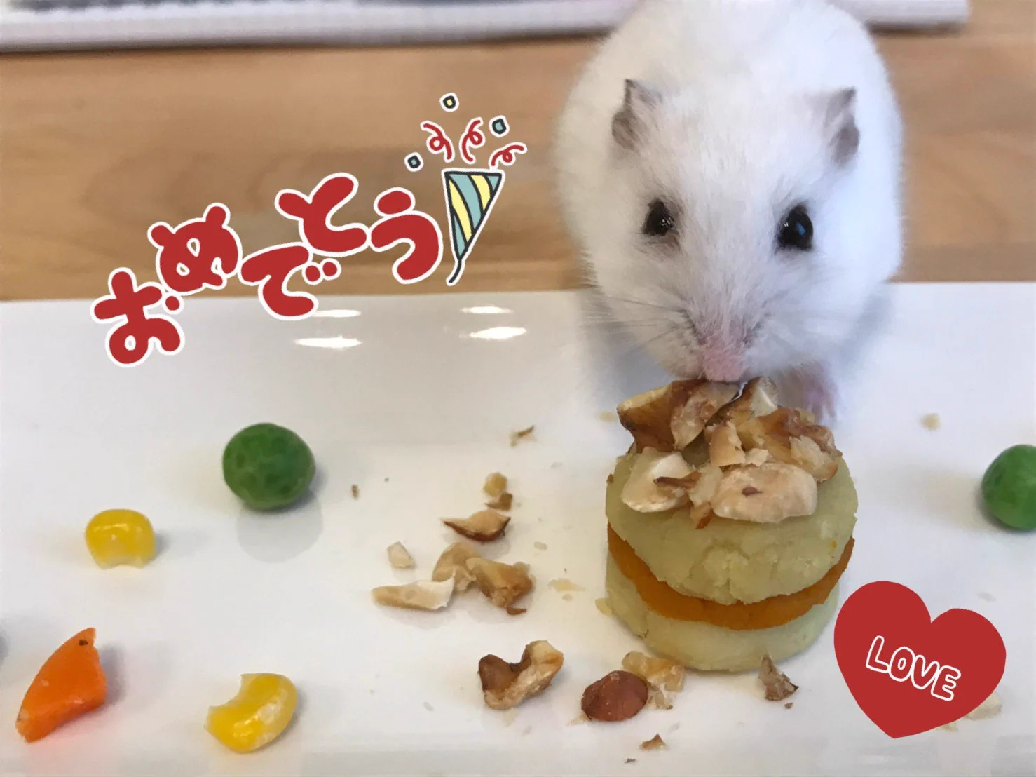 @nodacry はむはむちゃんおめでとう！
沢山可愛がって貰っていい一年にしてね🐹 