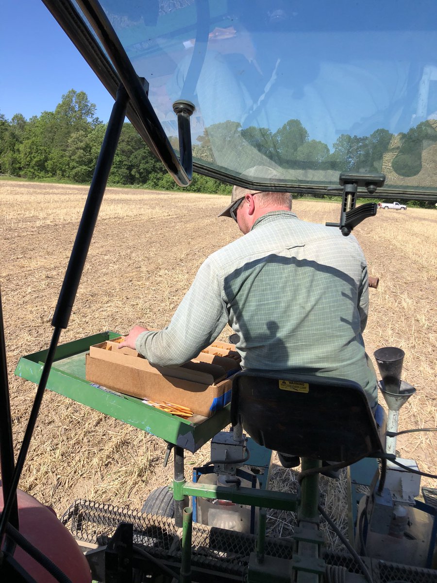 donmarioseeds's tweet photo. Plots are planted in New Kent, VA and these beans should be emerging in the next few days! 🙌🏼 We are testing Early - Late 4’s in a variety of traits in this plot location! #Seriousaboutsoybeans #traitoptions https://t.co/6ejNQ8EZR2