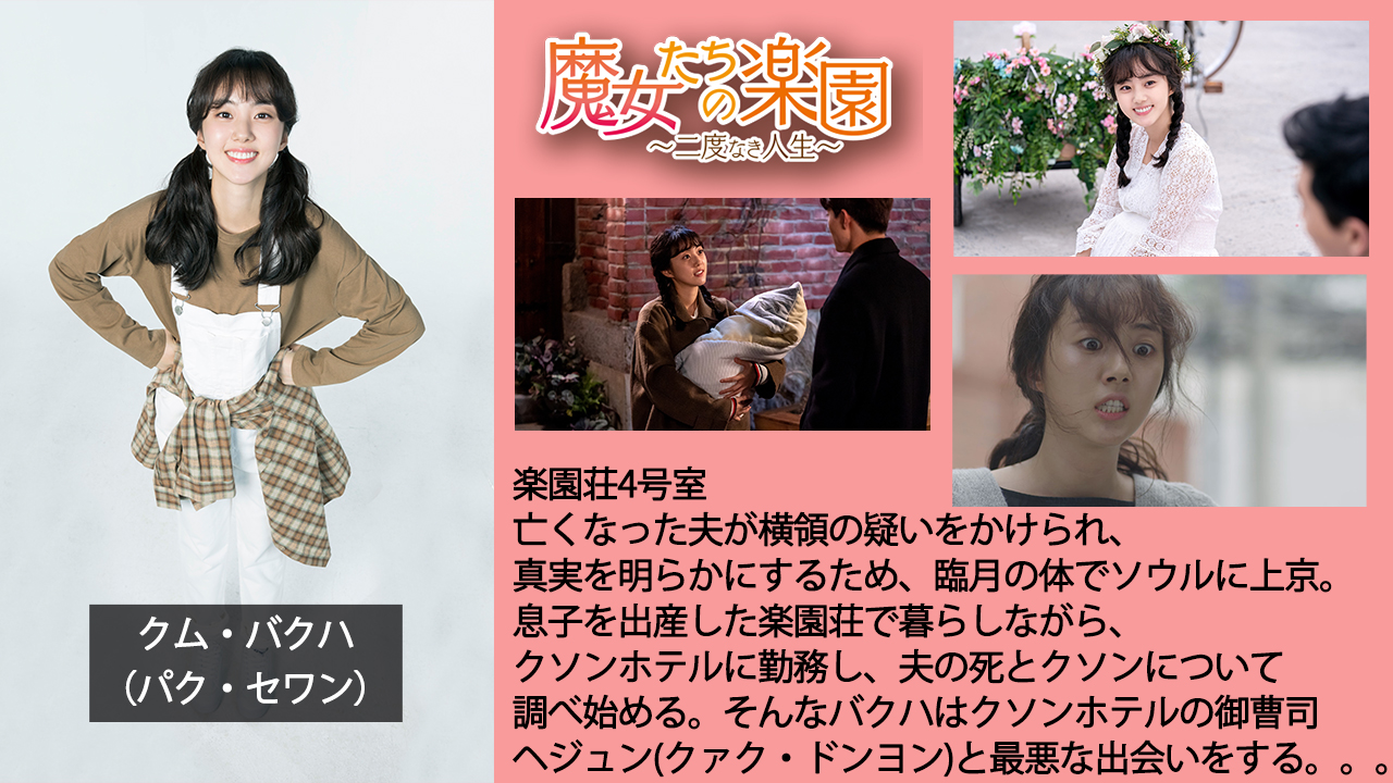 魔女たちの楽園 レンタルDVD 韓国ドラマ 全巻セット