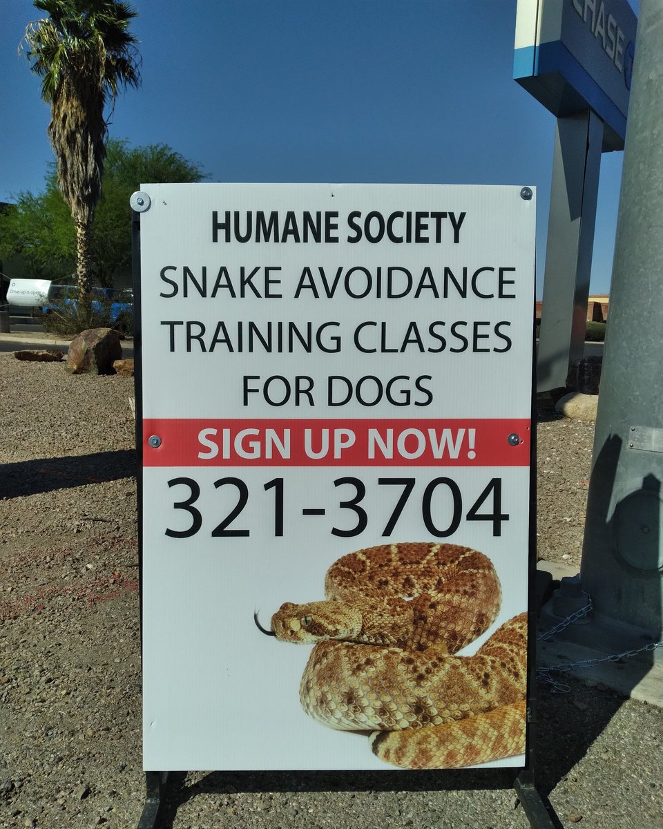 adelina_sinohui's tweet image. #ElephantGarden or #cemetery. Richard asking Richard why i don't go on stage? BANG! BANG! MF. #WELCOMETOTUCSON. WHERE YOU HEADED? OH MY GOD YOUR HEAD FELL OFF WHO KILLED YOU. I GUESS I WILL #KICKIT across the Border

#Drink #water #TECATE #Whisky #wine #Beer #vodka #Tequila #Rum