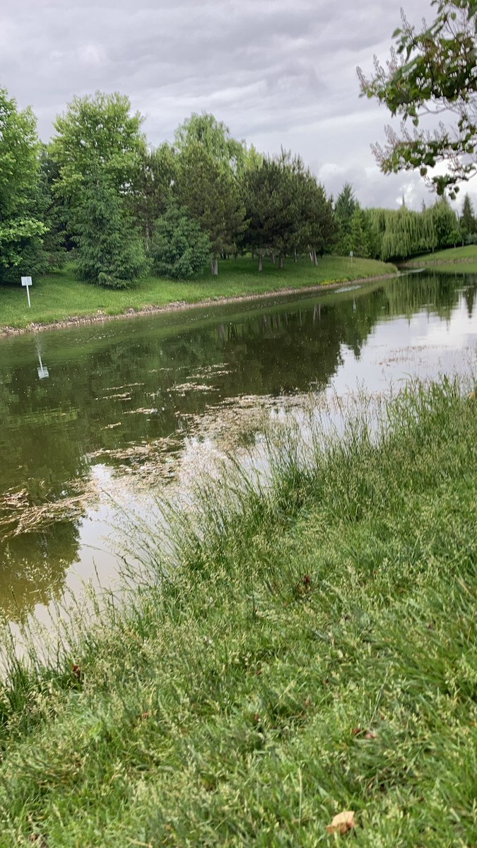 Ohhh havaya bak buram buram kasvet.. deniz kum güneşçi ibneler yaylansın