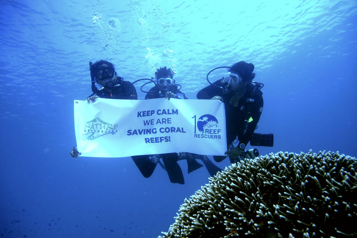 NatureSey's tweet photo. Happy #WorldOceansDay  One Ocean, One Climate, One Future – Together. "What the Reef Rescuers has achieved in terms of large-scale #EcosystemRestoration  is outstanding." - @cousinisland https://t.co/7IWkb7M0pT

#worldoceanday2021 #OceanClimateAction #coralreefs  #seychelles https://t.co/tz3tICvhp9