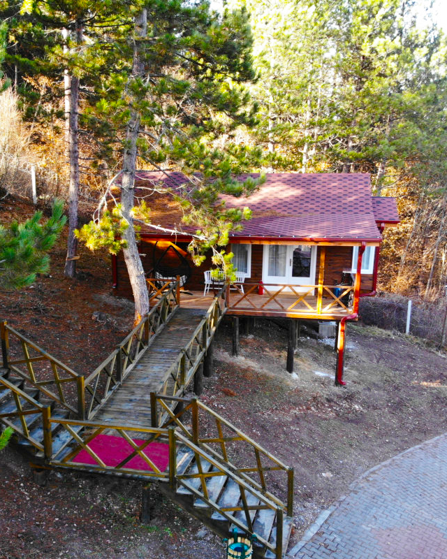 bolu bungalov bolubungalov twitter bolu bungalov bolubungalov twitter