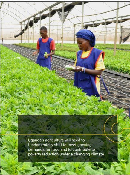 Increased demand for food and energy to sustain livelihoods and create income sources have added to the already high levels of unsustainable natural resource utilization. See details in the 17th ed of the Uganda Economic Update  #PromoteGreenGrowth. bit.ly/PromoteGreenGr…