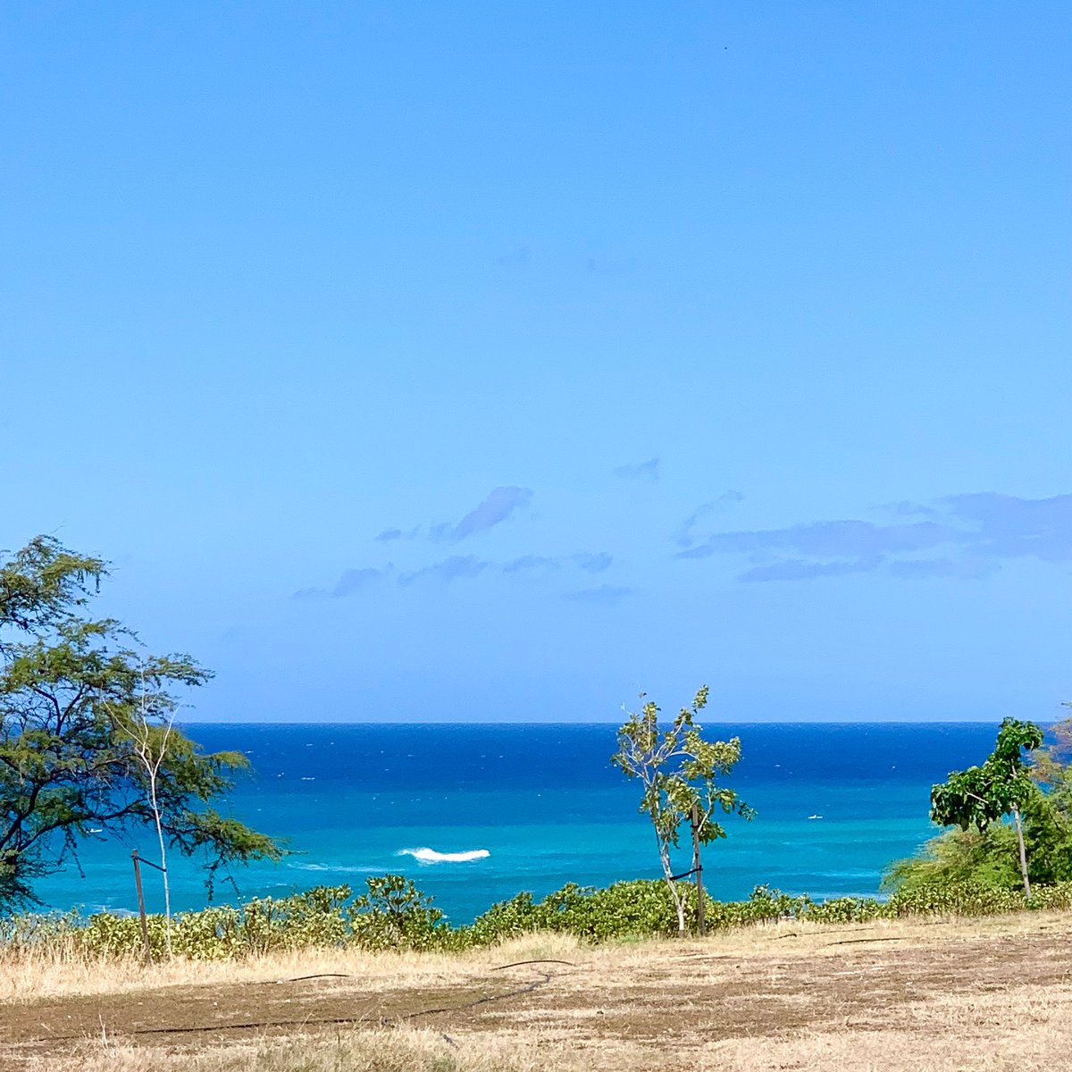 mimihawaiilife's tweet photo. Less Monday more holiday please🥺💙💙
#lessmonday #moreholidayplease #hawaii #oahu #hawaiilife #luckywelivehawaii #moresummer #moresurf #hilife #alohalife #hawaiilove #beachlover #beachlife #beachgirl #aloha
#ハワイ #アロハ #ビーチライフ #ハワイライフ #ハワイ生活 #ハワイ暮らし https://t.co/PfWixQWbRI