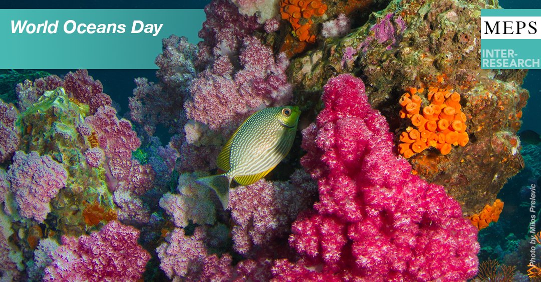 Marine Ecology Progress Series (MEPS) tweet media