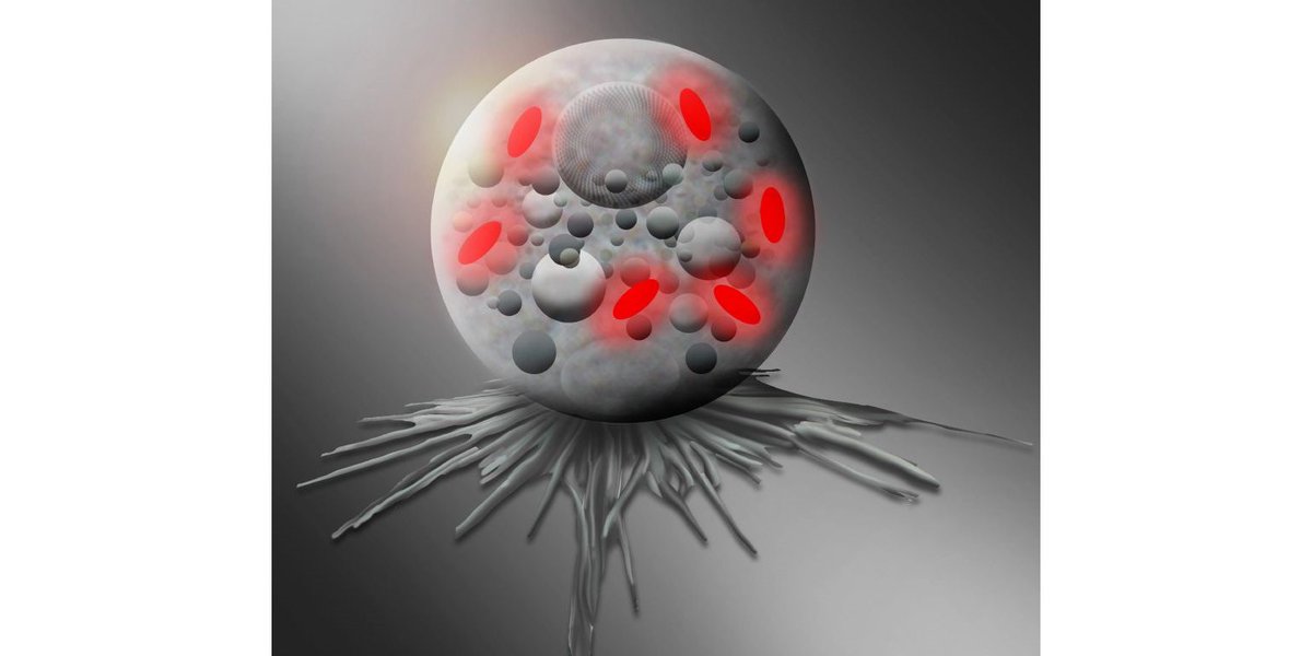 El descubrimiento de un nuevo género bacteriano sienta las bases para seguir investigando las vías de infección de las Legionellales.

Aqua free ofrece soluciones para prevenir los posibles riesgos.

hubs.li/H0PCJKj0