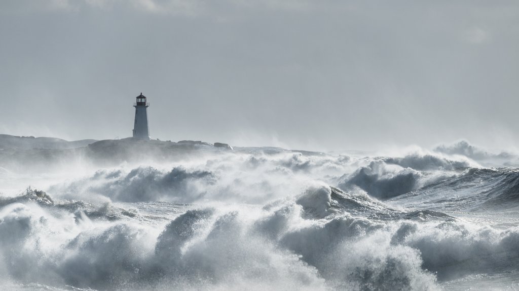 LighthouseAccom's tweet photo. Today is World Ocean Day 🌊

"Individually, we are one drop. Together, we are an ocean."

#WorldOceanDay #KeepOceansClean https://t.co/zu0EpYSvgq
