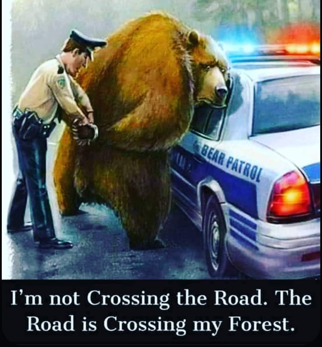 DrBaghel30's tweet image. No one can deny that humans have occupied my forests today
I&apos; m not crossing the road .
Road is crossing my forest.
🙏🙏🙏🙏🙏😪😪😪😪
#savetheforest 🐇🐿🦌🐅🐆🦓🦣
#savetheplanet 🌏
#savetheecosystem