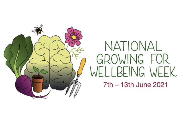 This week is National Growing for Well-being Week. We know that plants make us feel good and help with our air quality so fill your homes &amp; offices 🌿🪴🍀 #urbanplanters #valueofplants #happyplanting #health #lifeatno27 #wellbeing #plantsatwork #plantsathome #greenery