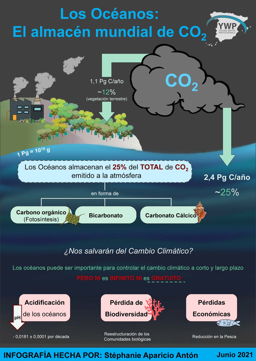YWP_Spain's tweet photo. Hoy es el #DíaMundialDeLosOcéanos 🌊  Aunque no se conoce, existen numerosos sumideros de CO2 en la Tierra, como son los suelos, los lagos, las rocas o los océanos. Hoy, hablamos de estos últimos. 

¿Nos podrán salvar del cambio climático? Te lo cuenta @_STPH_ en esta #infoYWP 👇 https://t.co/DXLoVrSFVk