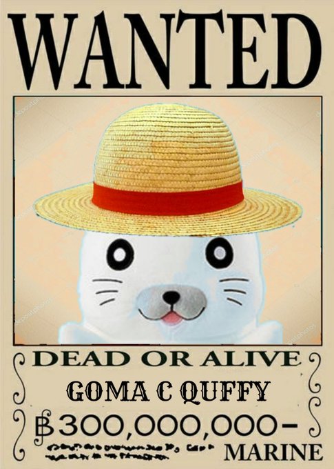 ごまきゅう Qq ゴマちゃん S Recent Tweets 3 تحليلات تويتر الرسومية الخاصة بهوتويت Whotwi ごまきゅう Qq ゴマちゃん S Recent Tweets 3 تحليلات تويتر الرسومية الخاصة بهوتويت Whotwi