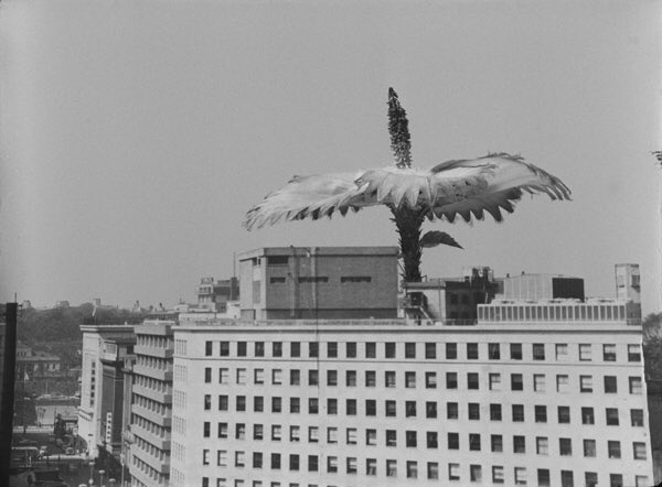 バルンガのtwitterイラスト検索結果