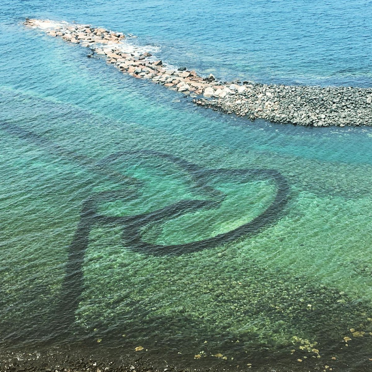 yehaoqin's tweet photo. This #WorldOceansDay2021, let's remember that it's important to get your hands dirty to #KeepOceansClean. While we may not be able to gather on #Taiwan's beaches for cleanups, today should be a day of reflection&amp;reevaluation of our everyday choices—and their impact on our oceans. https://t.co/UkHyfl6UVn