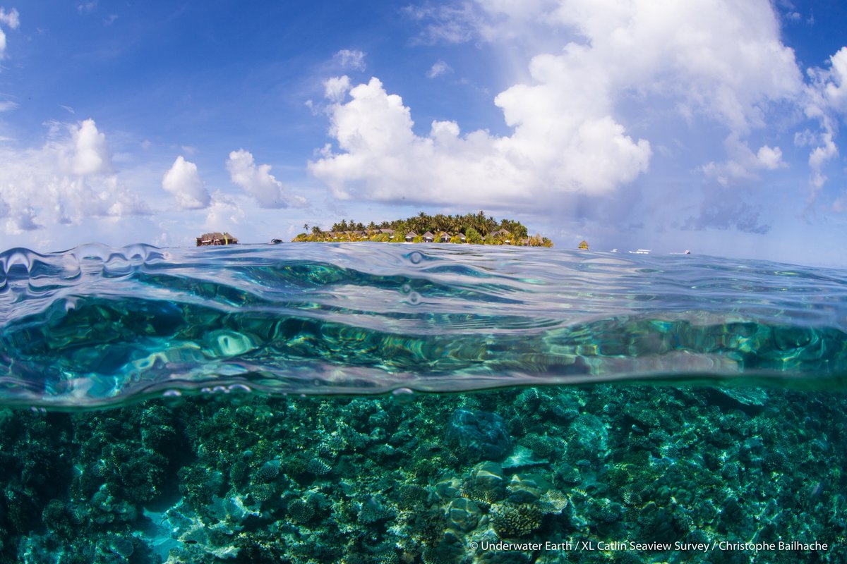 UWaterEarth's tweet photo. This World Oceans Day, what better way to celebrate than virtual diving, exploring worlds rarely seen as part of our new underwater visual collection on Google Arts &amp; Culture? Discover #Google Street View virtual dives collected and curated by us over 10 years of partnership. https://t.co/9tPfxpEVhG