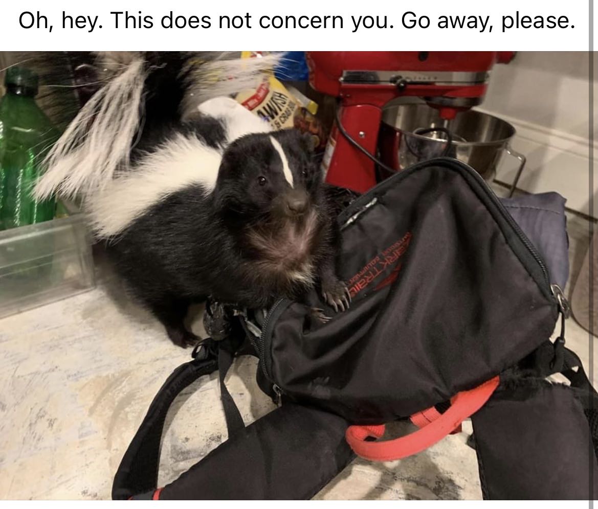 StonZMGMT's tweet photo. #ThugLife
#SkunkLife https://t.co/23QmSMueGb