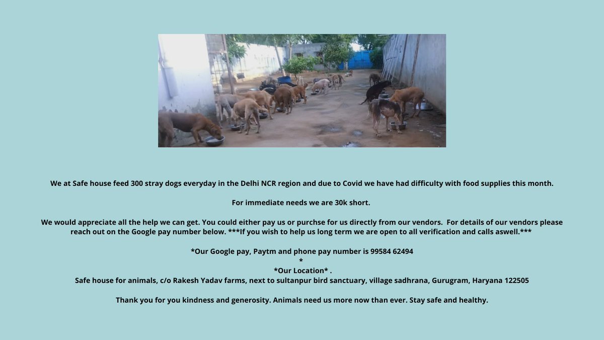 Aditi Kapadia Cynicinc Twitter