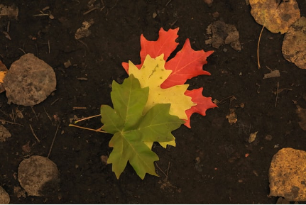 UH_LABHRT's tweet photo. The only constant in life is change.”-Heraclitus. Given that many of us are slowly returning to in-person responsibilities, for the month of June, we would like to focus on the topic of transition, known as the process of changing. https://t.co/DYmrv5omMf