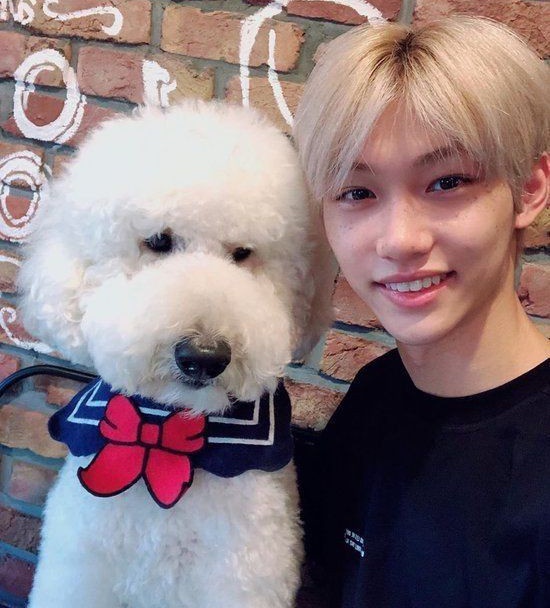 VLIXBLOG's tweet image. pets 🐶🐩 #V • #Felix • #뷔 • #필릭스