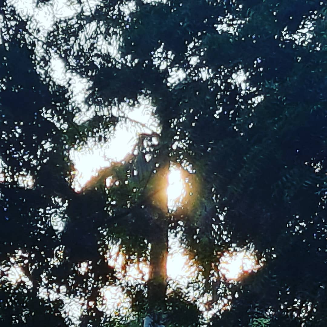 Ikigai37506282's tweet photo. Flower Bird Wind Moon π
Start Happy For no reason and you'll actually feel happier!
#GodsConfidence
#DEOGratiasπ«
#IAM πβππ¦π»π§ββοΈπ
#gratitude
#countyourblessings β€
#BeKind
#yestopositivebeauty
#PositiveVibesONLY
#Flowerpower https://t.co/A7X5zUDiaT