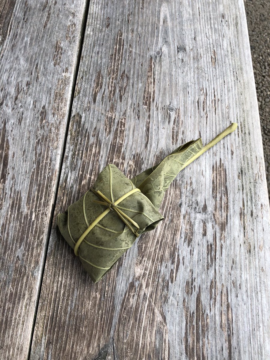 トトロのお土産