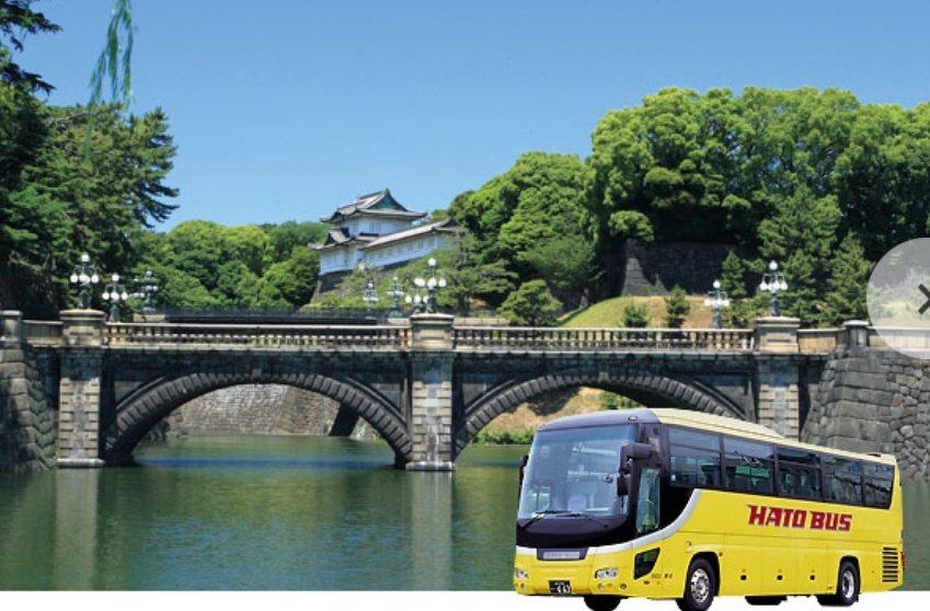 みけぽさんと
みけぽ好きさんによる
バスハイク希望🙋‍♀️

コロナ終息したら

※画像はイメージです