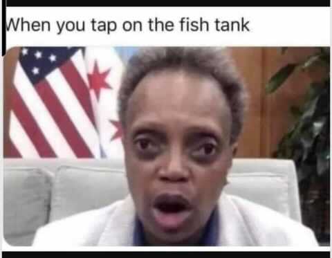 Don’t try to act like you don’t think this is funny - I don’t care who you are