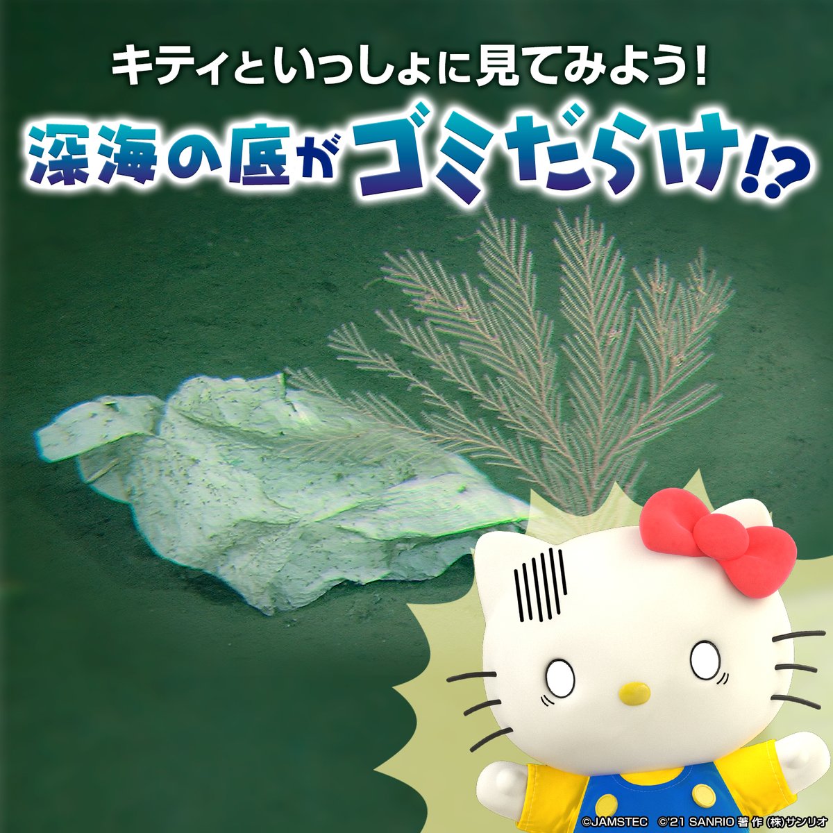 JAMSTEC_PR's tweet photo. ＼今日6月8日は #世界海洋デー 🌏🌊／

#JAMSTEC はキティちゃんと #海洋プラスチック 問題を考えたよ！

行方不明プラスチックを探しに深海へ👩‍🔬🚢

みんな見てね🎦
https://t.co/Ag8PbB3obx

#SDGs #SDG14 #WorldOceansDay 
#ハローキティチャンネル #ハローキティ  #HELLOKITTYCHANNEL #HELLOKITTY https://t.co/jbIgy2HaNV