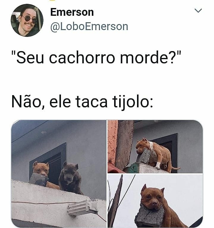 Igoor_lol's tweet photo. @mattayahuMATEUS @mattayahuMATEUS se liga kkkkk https://t.co/x4Are69K9d