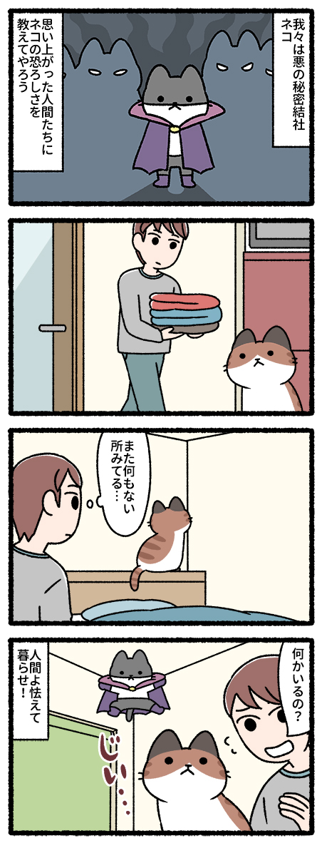 悪の秘密結社ネコ 猫総帥の活躍 #悪の秘密結社ネコ 