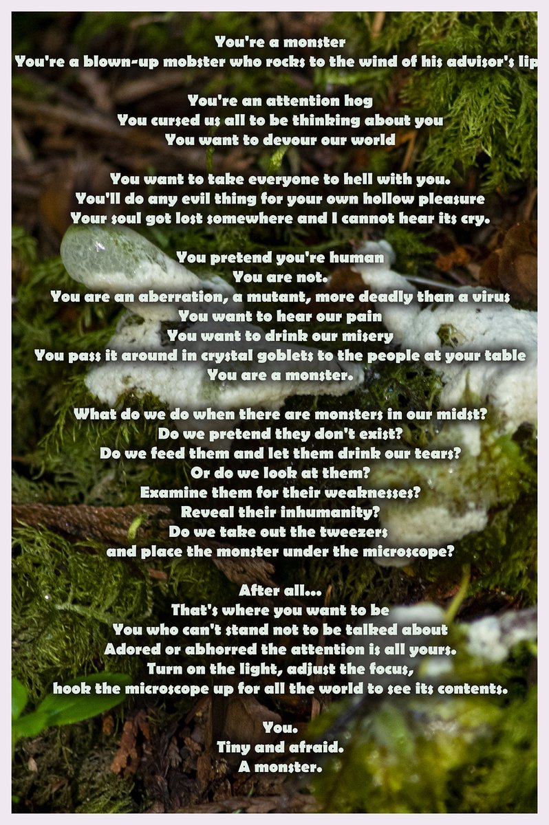 SequimPhotos's tweet image. 