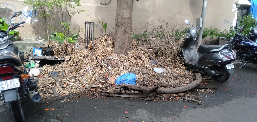 Ayushsinghhhhh's tweet photo. It's been more than a month and there has been no cleaning of fallen trees and now it has become a dumping ground which is causing lot of problems to the society. Requesting @mybmc @mybmcWardS to look into this.
Jain Mandir road IIT maingate powai-76. https://t.co/sPOFaKIkiy