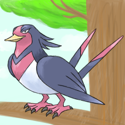 オオスバメのtwitterイラスト検索結果 古い順 オオスバメのtwitterイラスト検索結果 古い順