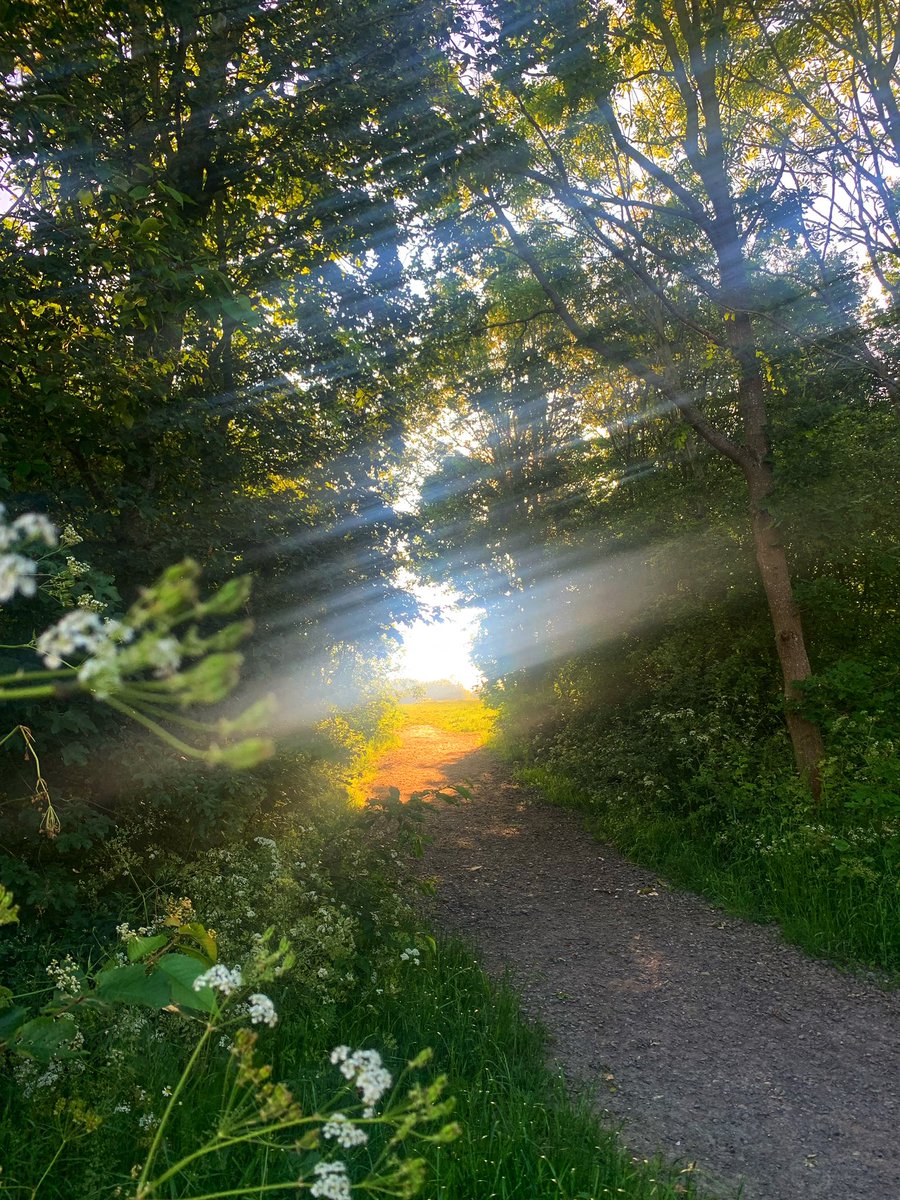 romfordrunner's tweet photo. Better than coffee to wake myself up, a gently 10k run at 6am #6amclub #ukrunchat #trailrunning #earlymorningexercise #slowlybackfrominjury https://t.co/Uq9oj1DmOR