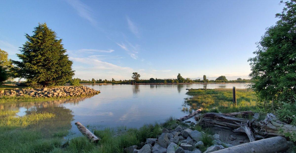 Tricia Barker 🇨🇦🏴󠁧󠁢󠁳󠁣󠁴󠁿 tweet media