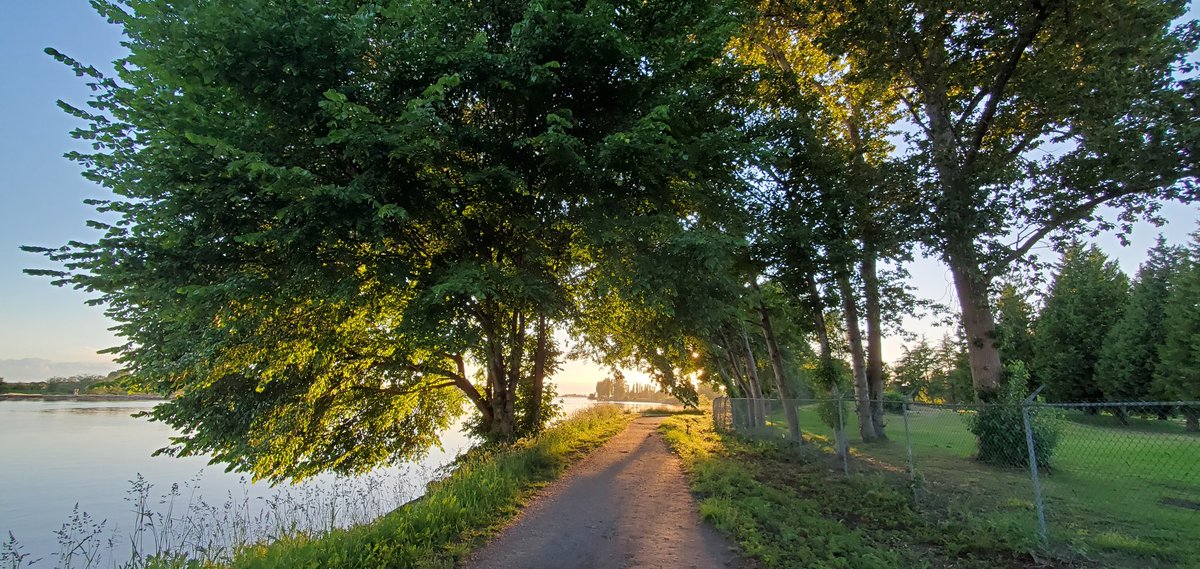 Tricia Barker 🇨🇦🏴󠁧󠁢󠁳󠁣󠁴󠁿 tweet media