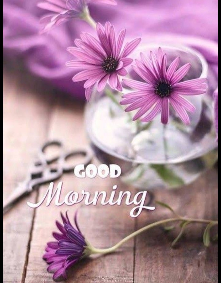rideep_'s tweet photo. @Dishani_Das2020 https://t.co/eB05tyCC1r