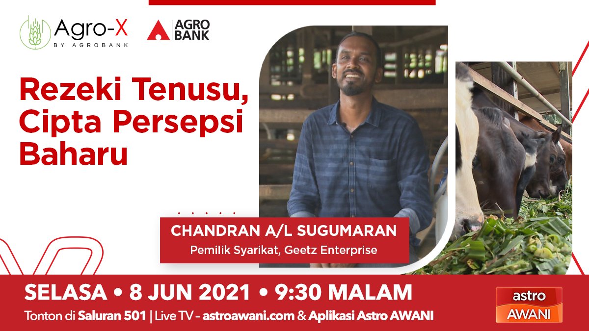 501Awani's tweet photo. Dari Ladu yang manis ke Tairu yang masam. Memang banyak kegunaan susu dalam hidupan harian. Inilah cerita usahawan agro tenusu, Chandran a/l Sugumaran, Pemilik Geetz Enterprise. 

Saksikan Agro-X malam ini, jam 9.30 malam di saluran 501. #AgroX https://t.co/kTkPTW5oBJ